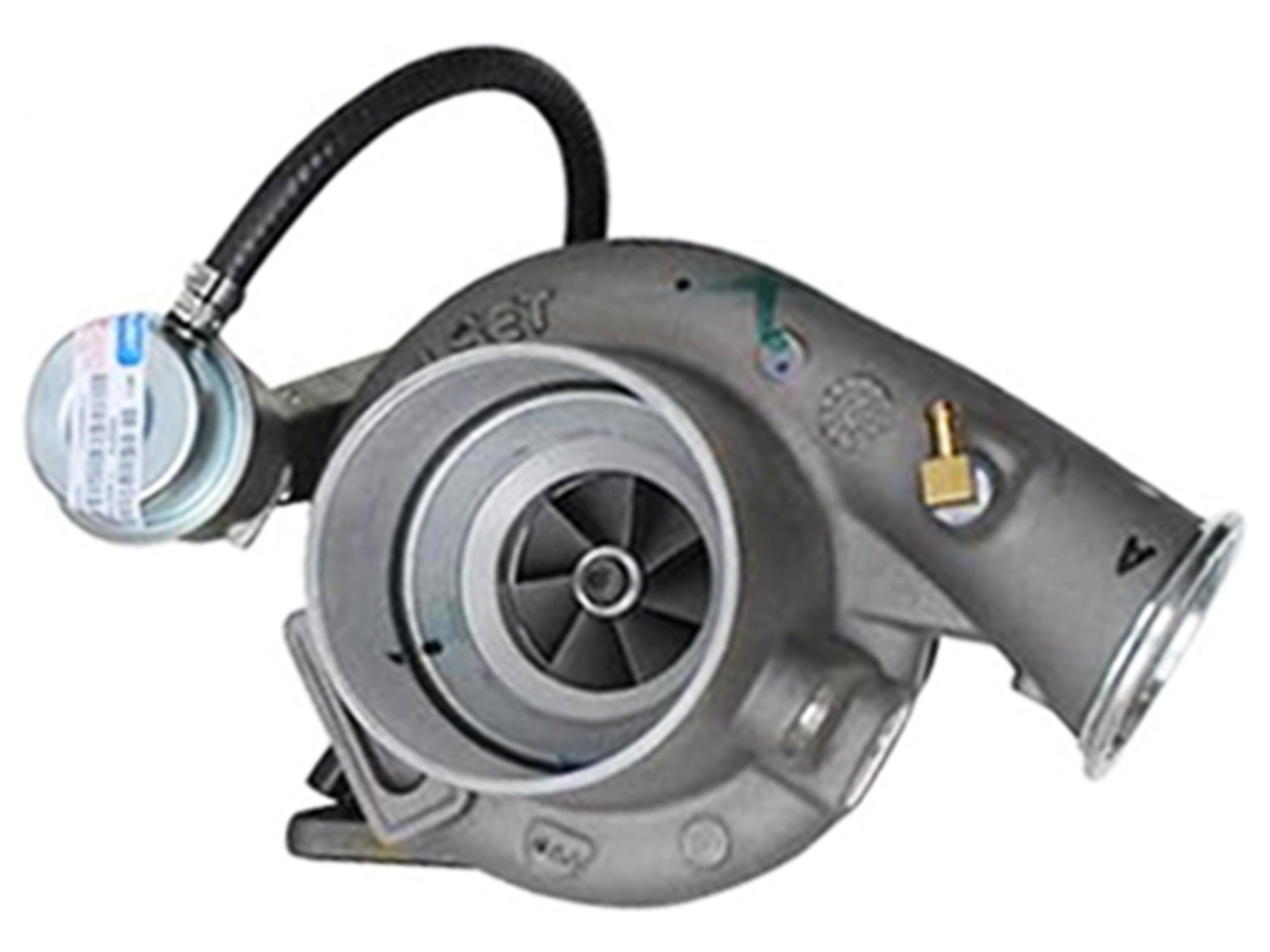 ハロー 20250211_074342__36636.