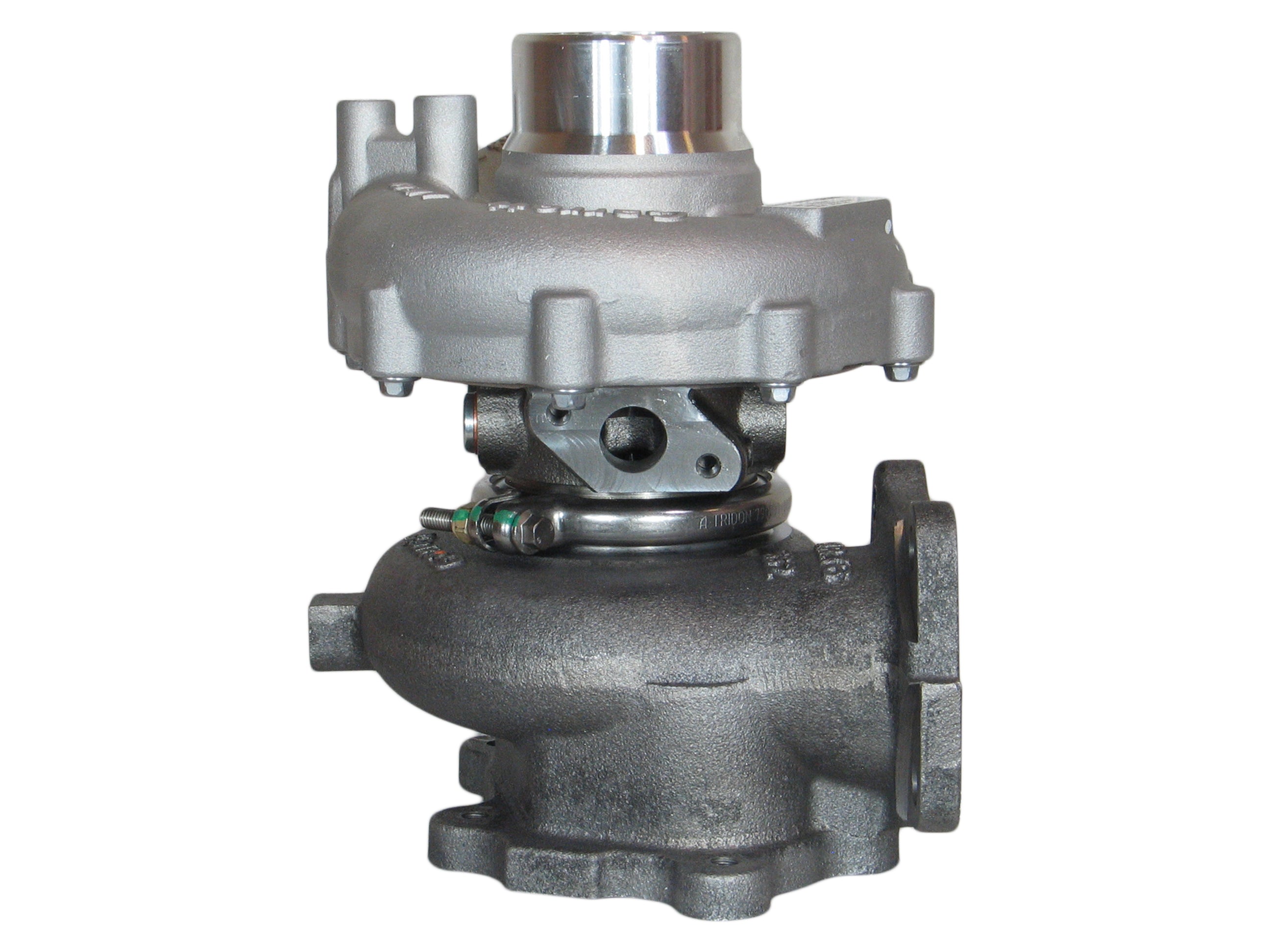 yabugarashi② product12370_1b.jpg