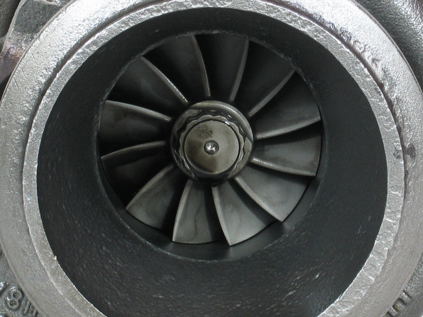 ISM ISME M11 11.0L diesel 3590044 del autobús internacional Cummins del camión de HX55 Turbo